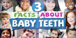 Facts About Baby Teeth