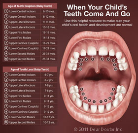 Children's Mouth anatomy